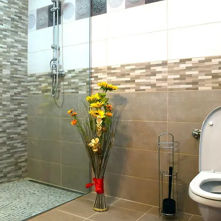 Fundeni Sofia Apartman Bukarest